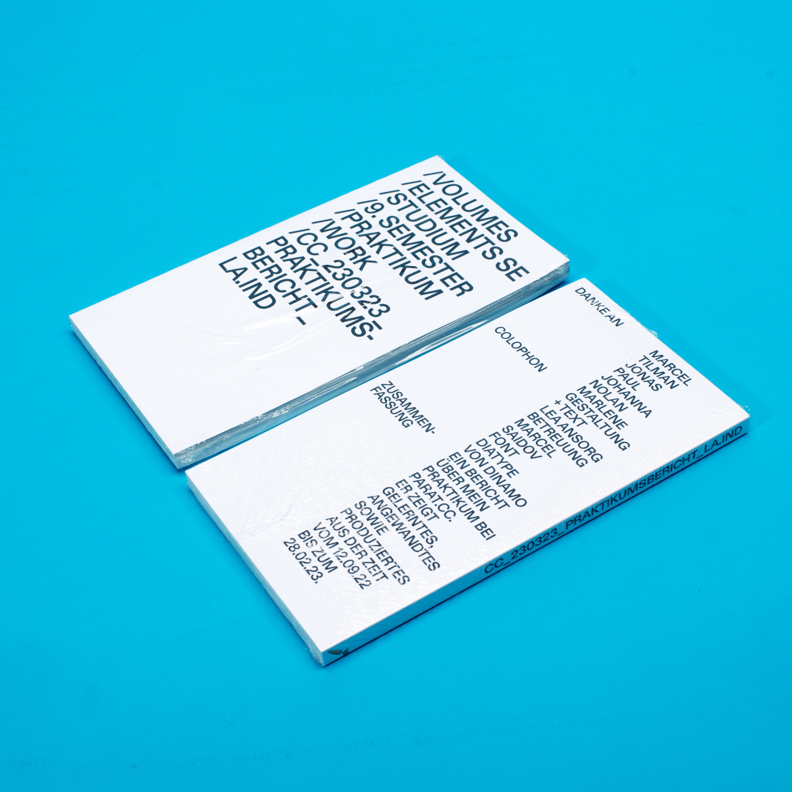 Lea Ansorg Internship Report